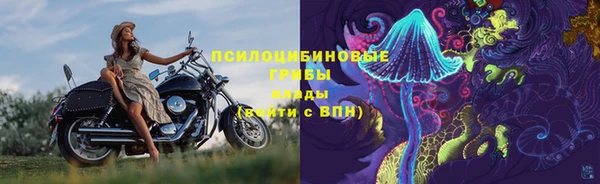 гашик Семилуки