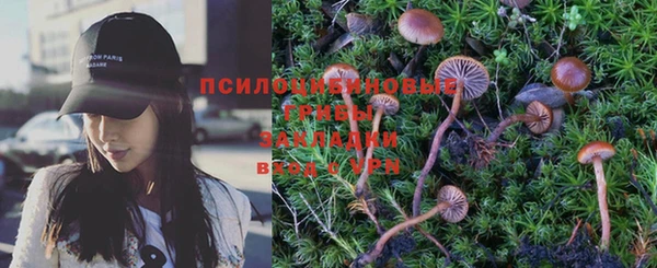 Альфа ПВП Володарск
