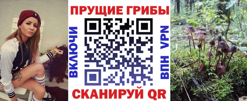 Галлюциногенные грибы прущие грибы  Осташков 