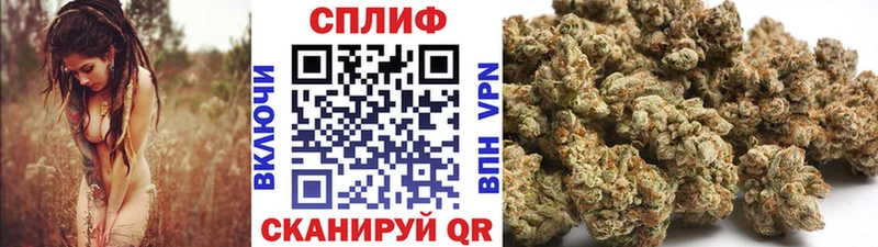 Каннабис планчик  hydra зеркало  Осташков 